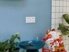 -柏萃动物医院·骨科·牙科