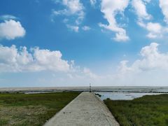 -南汇嘴观海公园