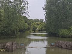 -溱湖国家湿地公园