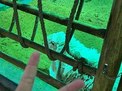 -大连圣亚海洋世界