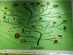-上海昆虫博物馆