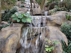 -广州市流溪河国家森林公园