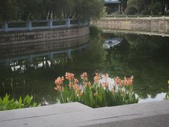 -溪岸路花鸟市场