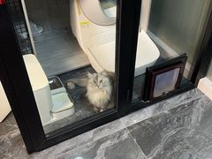 -宠颐生斯嘉宠物医院·急重症·心内科(谷阳北路分院)