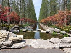 -东平国家森林公园