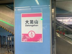 -大龙山(地铁站)