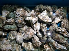 -学府海鲜批发市场