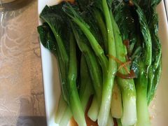 -欢乐海岸美食联盟