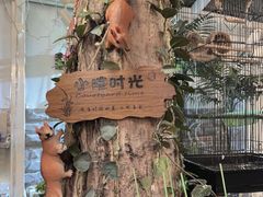 -丽江庭院之丽江往事(安定门店)