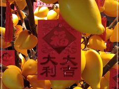 -香荟Aroma·外滩茂悦大酒店