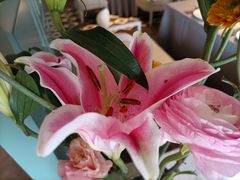 -南堂馆·新川菜(春熙路店)