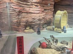 -正佳雨林生态植物园