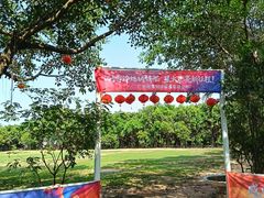 -天下先生态园农庄CS团建露营地(海鸥岛店)