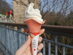 -紫金山山顶公园