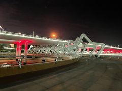 -演武大桥观景平台