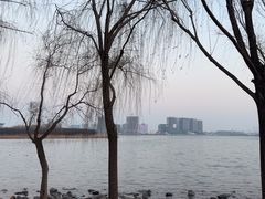 -北龙湖湿地公园