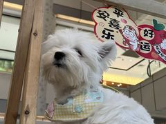 -汇德隆银隆