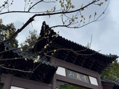 -云龙山