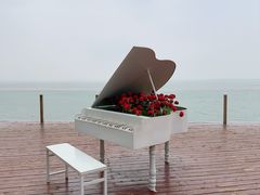 -观澜小洱海