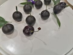 -食神鱼头佛跳墙(百子湾旗舰店)