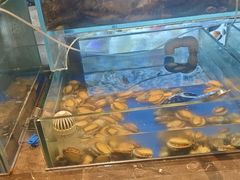-尚宴牛特鲜自助(太原街万达店)