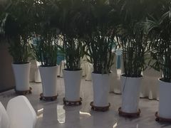 -大连湾旭日·家宴·海肠捞饭(马栏广场店)