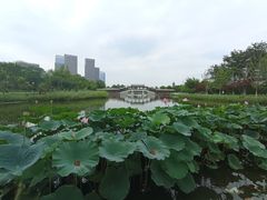 -西海子公园