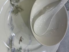-丁老爷子苏香圆