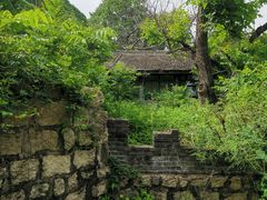 -云岫谷游猎自然风景区