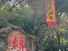 -杭州黄龙洞