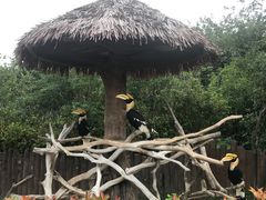 -上海野生动物园