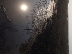 iphone_upload_pic-北海金海湾红树林生态旅游区