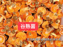 -欧记·龙城港(欣都龙城店)