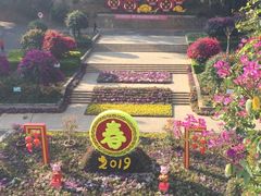 -攀枝花公园