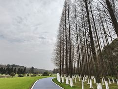 -宜兴龙背山森林公园