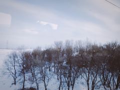 -雾凇岛