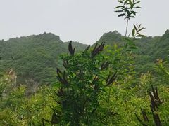 -秦岭终南山世界地质公园翠华山景区
