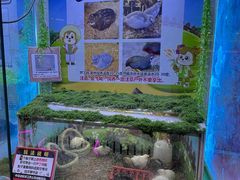 -汤姆熊欢乐世界(大连恒隆广场店)