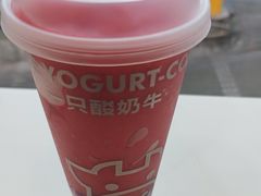 -一只酸奶牛(洪崖洞11楼店)