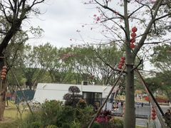 -东莞植物园