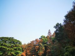 -荔香公园