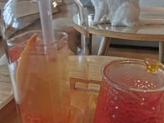 百香西柚-猫腻·猫咖·撸猫馆(星光大道店)