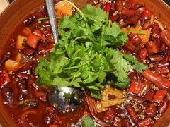 -华豫川酒家(大卫城店)