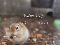 -北京鹿世界主题园