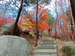 -崂山巨峰游览区