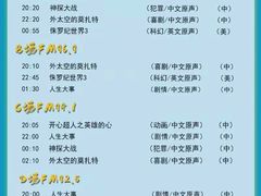 -枫花园汽车电影院(朝阳公园店)