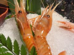-Mr.Fish鱼鲜生海鲜放题(高德置地冬广场店)