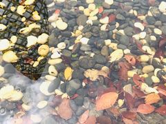 -上海滴水湖皇冠假日酒店