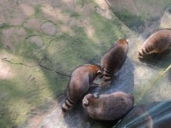 -杭州野生动物世界