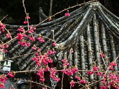 -乌山风景区